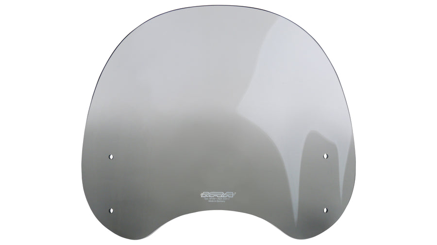 Kawasaki Z 650 RS [2022-]-touring disc "NTM"