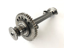 Triumph Tiger 1050 115NG [2016] - Balance shaft-1