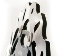 Triumph Sprint 955 RS [2000-2001] - Bremsscheiben – Bild 9