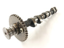 Triumph Tiger 955i 709EN [2001] - Camshaft intake camshaft-4