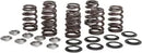 Harley-Davidson FXBR 1923 Softail Breakout 117 [2024] - Titanium Ventilfederhalter-Kit – Art.-Nr. 1110 – Bild 8
