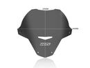 Aprilia Tuono 660 [WRS] - windshield-2