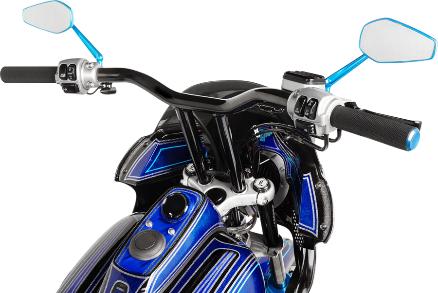 harley davidson sportster s 1250 [ARLEN NESS] – Knurled grips