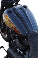 harley davidson fxlrst [CULT WERK] – Dash cover for Harley-4