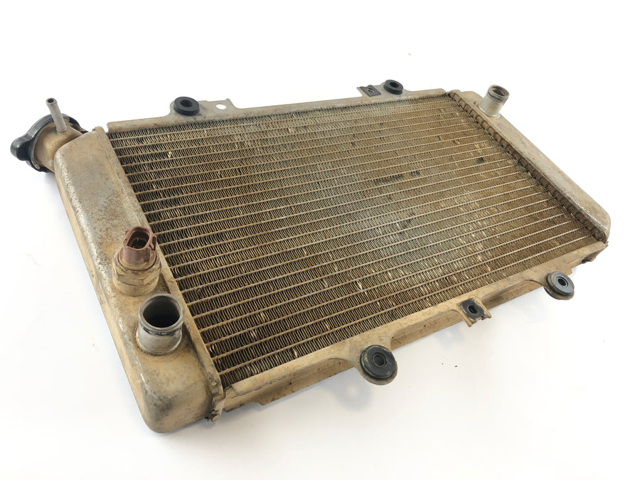 Yamaha Grizzly 660 AM03W [2003] - Radiator Water Cooler