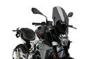 BMW F 900 R [2025] – R-Racer windshield – heavily tinted-6