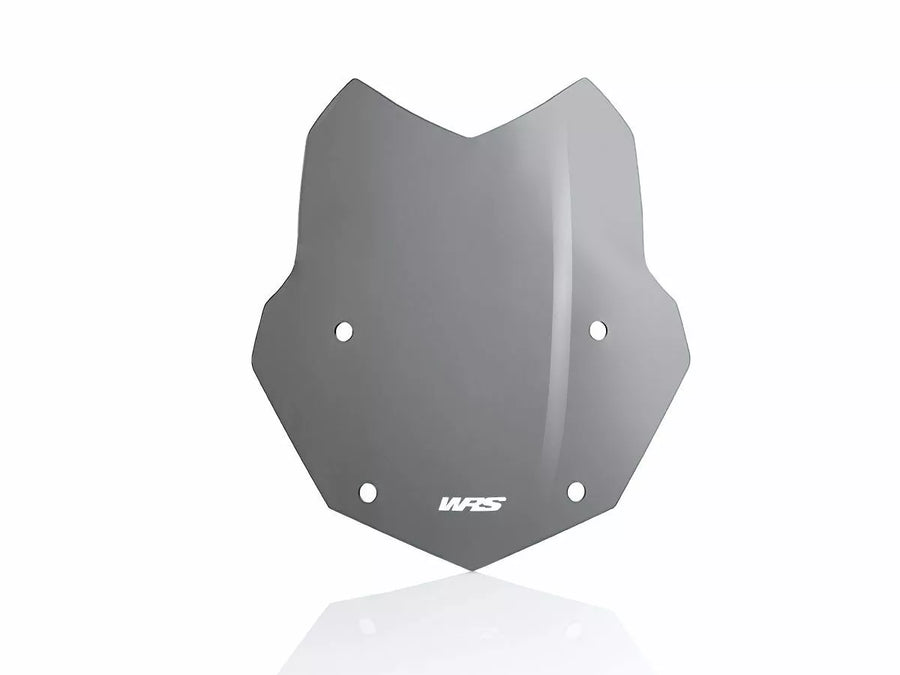 BMW R 1200 R [WRS] - windshield