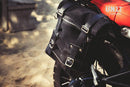 BMW R nineT 1200 Scrambler [2016-2023] - 22L-30L Scram Satteltasche aus Spaltleder + Rahmen der Serie