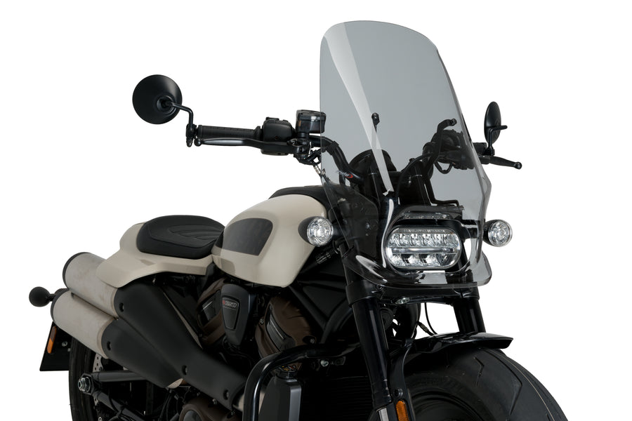 HARLEY DAVIDSON SPORTSTER S RH 1250 S [2024] – New Generation Touring – Tinted