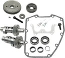 Harley-Davidson FXDBP 1690 Dyna Street Bob Factory Custom [2013, 2015-2016, 2016] - Kettenantrieb Nockenwellen-Kit – Bild 10