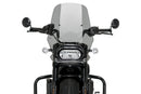 HARLEY DAVIDSON SPORTSTER S RH 1250 S [2024] – New Generation Touring – Tinted-1