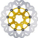Harley-Davidson Xg 750 Street [2020, 2019-2020] - brake discs - surface: gold, silver - picture 1