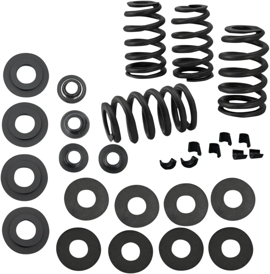 Harley-Davidson XR 1200 X [2011-2012] - 0,585" Ventilfedersatz – Bild 1
