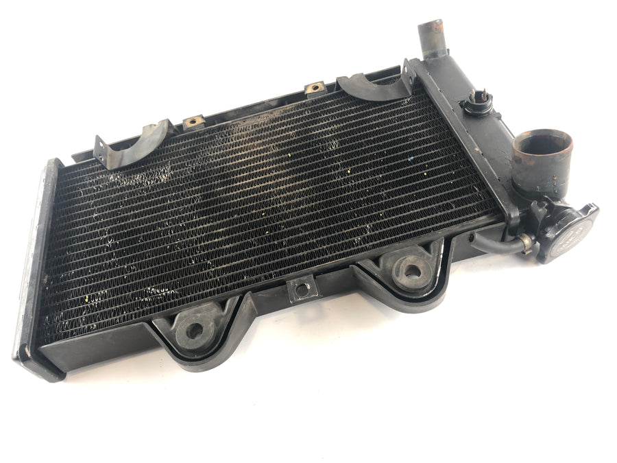 Triumph Daytona 1200 T300D [1995] - Water cooler