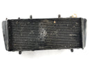 Aprilia RSV 1000 RR Factory [2009] - Radiator Water Cooler-2