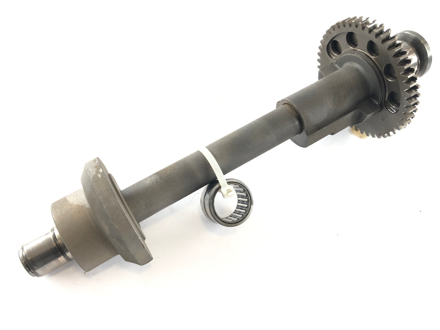 Triumph Speed ​​Triple 955i T509 [1997] - balance shaft