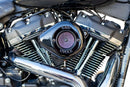 Harley-Davidson FXDR 1868 Softail King 114 [2019] - Air Stinger Stealth Luftfiltersatz – Oberfläche: Schwarz – Bild 6