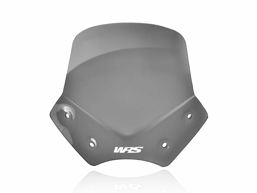 BMW R 1200 R [WRS] - windshield