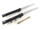 Triumph Thruxton 900 [2004] - Fork Telescopic fork with axle-1
