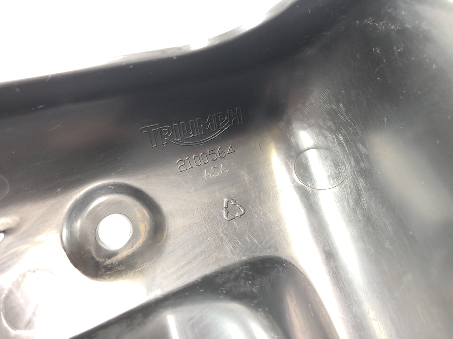 Triumph Street Triple R 675 D67LD [2010] - Page cladding Right