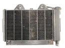 Triumph Daytona 900 T300 [1993] - cool water cooler motor cooler at the front-2