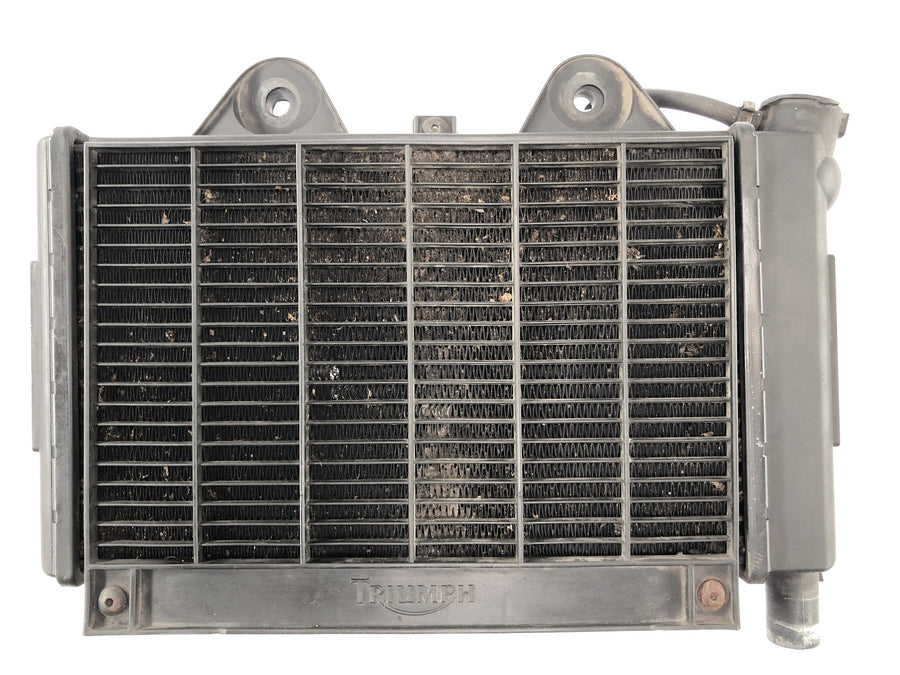Triumph Daytona 900 T300 [1993] - cool water cooler motor cooler at the front