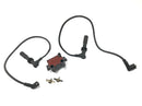 BMW R 1100 RT 259 [1999] - Ignition coil ignition unit ignition module with ignition cables and plug-4