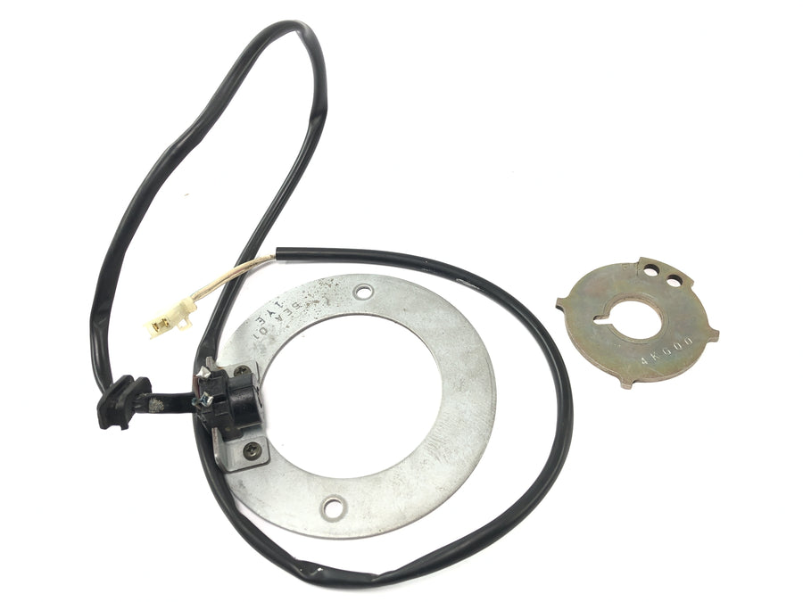 Yamaha XJR 1300 RP06 [2002] - Pickup alternator stator plate control plate