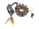 Suzuki RG 250 Gamma GJ21D [1987] - Stator alternator generator ignition coil Lima-5