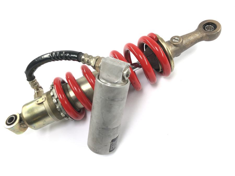 TRIUMPH DAYTONA 955I T595 [1998] - Shock absorber Showa