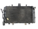 Kawasaki ZRX 1200 S ZRT20A [2001] - Radiator water cooler cooling system radiator network-5