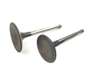 Yamaha XT 500 1U6 [1981] - Valves Intake Valve Exhaust Valve Set - 0