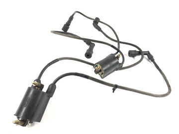 Kawasaki VN 1600 Mean Streak VNT60B [2005] - Ignition coil set pair with spark plug connector - 0
