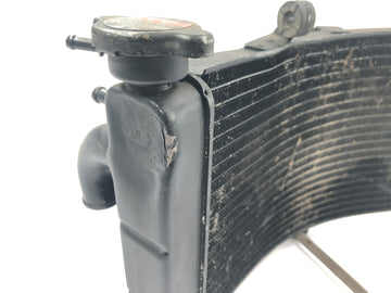 Honda CBR 900 RR Fireblade SC33 [2000] - Radiator water cooler cooling radiator - 0