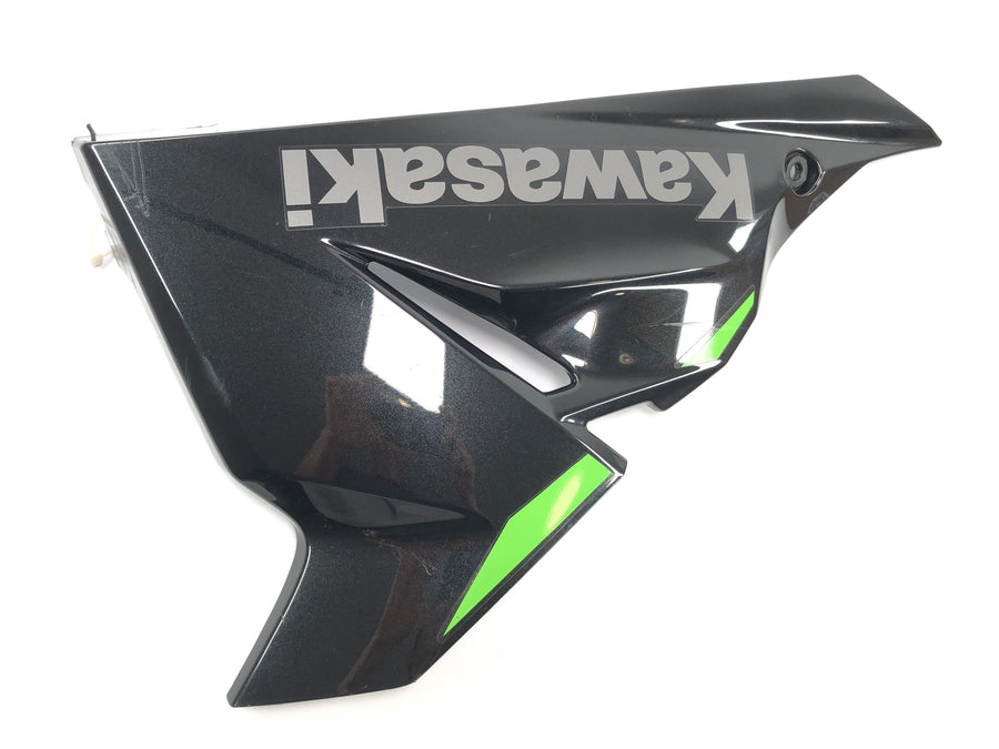 Kawasaki Ninja 125 BX125B [2024] - Clearing Page cladding Bug cladding right