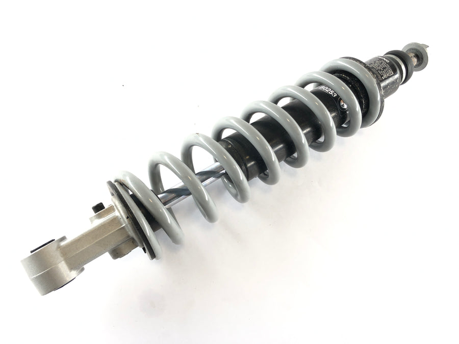 BMW R 1150 R R21 [2002] - Suspension strut shock absorber