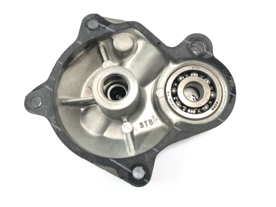 Yamaha XTZ 660 3YF [1992] - Starter cover engine cover