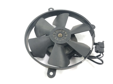 Honda CBR 900 RR Fireblade SC33 [2000] - Radiator fan wheel electric fan - 0