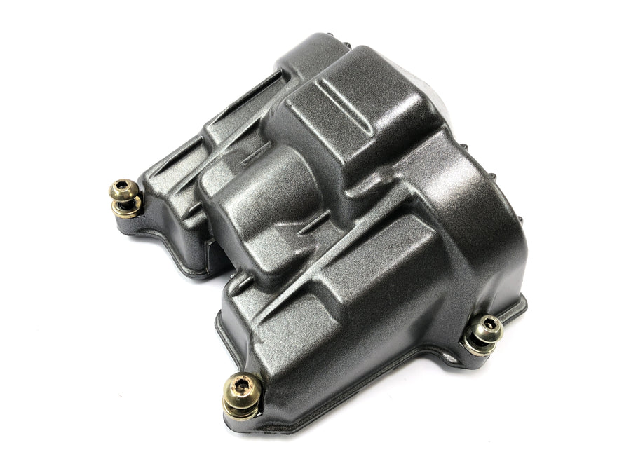 Aprilia RST 1000 Futura [2002] - cylinder head lids at the back