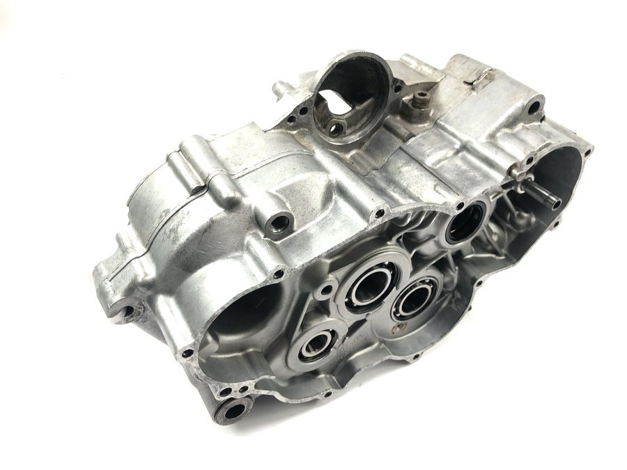 Aprilia RS 125 Extrema [1994] - ROTAX 123 engine housing crankcase engine block