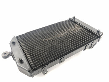Kawasaki VN 1600 Mean Streak VNT60B [2005] - Water cooler