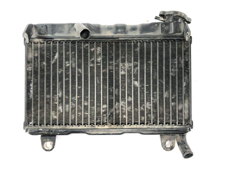 Suzuki RG 250 Gamma GJ21D [1987] - Radiator water cooler cooling system