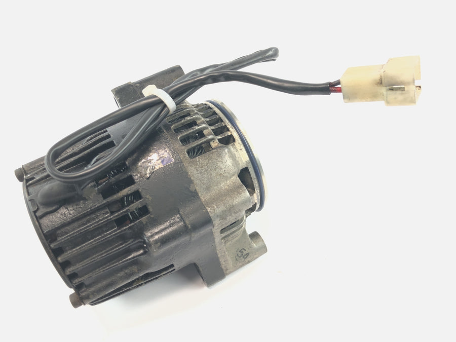 Yamaha XJR 1200 4PU [1996] - Alternator