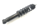 BMW R 1150 RT R22 [2001] - Front shock absorber strut Telelever-2