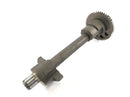 Triumph Speed ​​Triple 955i [1999] - balance shaft-2