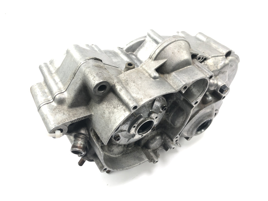 Aprilia RS 125 Extrema [1994] - ROTAX 123 engine housing crankcase engine block