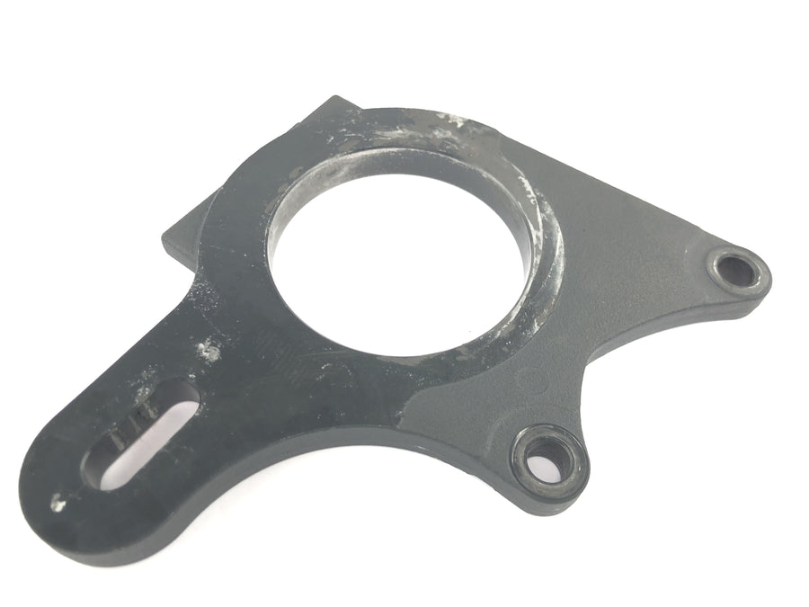 TRIUMPH DAYTONA 955I T595 [1998] - Brake anchor plate