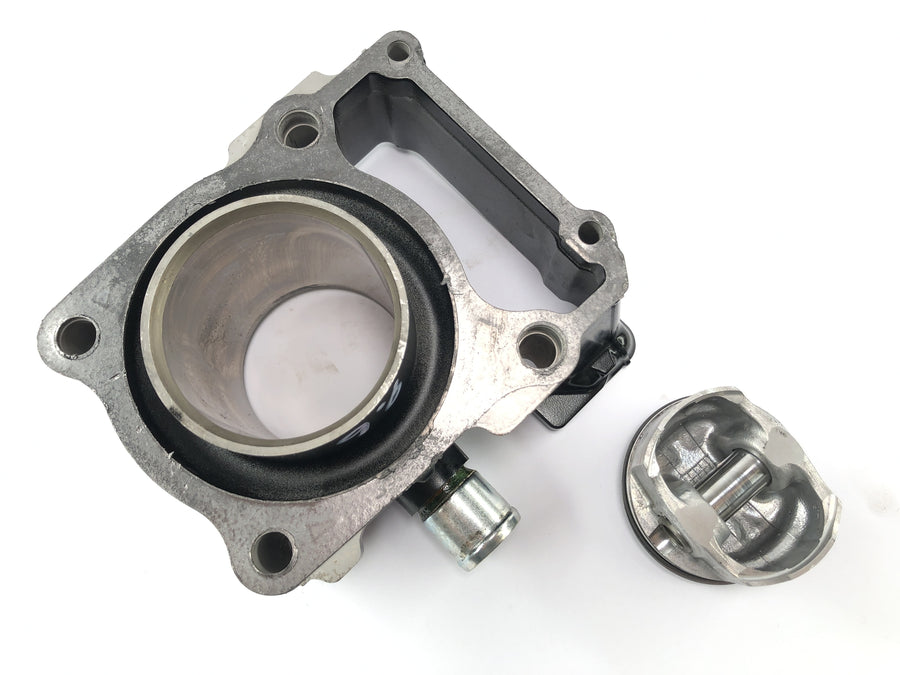 Kawasaki Ninja 125 BX125B [2024] - cylinder with pistons