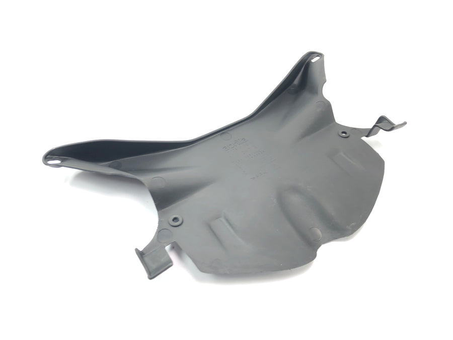 Aprilia RSV 1000 RP Mille [2001] - Cockpit fairing, speedometer fairing