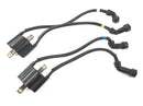 Yamaha XJR 1300 RP06 [2002] - Ignition coils with plug set pair-1